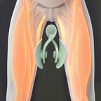 Entraîneur De Cuisses Et De Kegel – Pour Des Muscles Toniques Et Une Santé Optimale