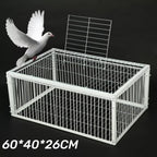 Cage à Oiseaux