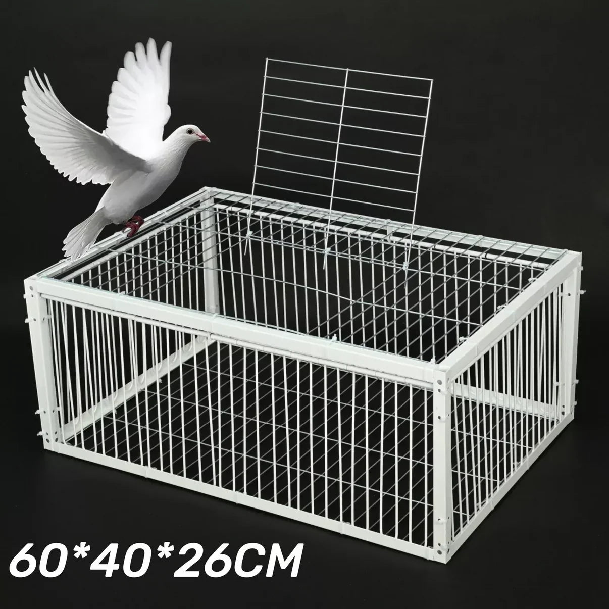 Cage à Oiseaux